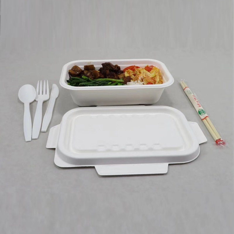 1000 ML Bagasse உணவு கொள்கலன்