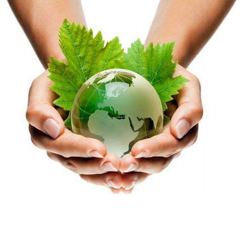 நெதர்லாந்து ஜூலை 2021 முதல் சில ஒருமுறை பயன்படுத்தும் பிளாஸ்டிக் பொருட்களை தடை செய்யும்