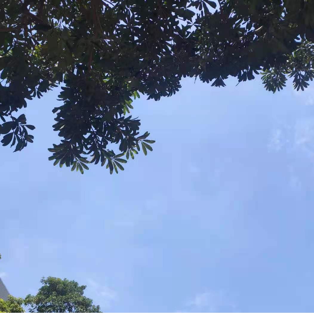 உலக பூமி தினம்