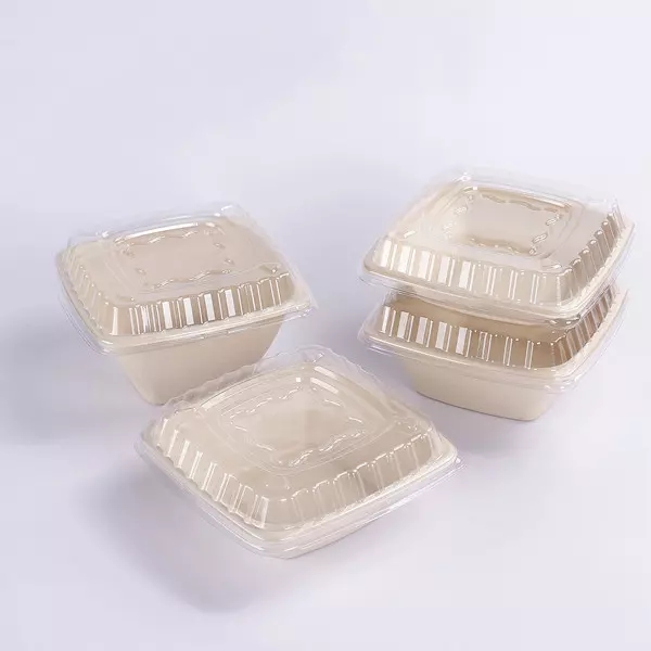Bagasse சதுர கிண்ணம்